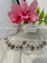 Load image into Gallery viewer, ‘Opihi Hoop Earrings