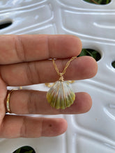 Load image into Gallery viewer, Dainty Sunrise Shell Necklace