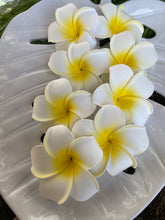 Load image into Gallery viewer, Plumeria Hair Clips (White)