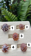 Load image into Gallery viewer, ‘Opihi Rings size 71/2