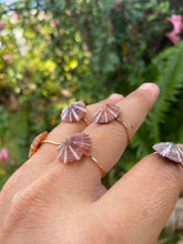 Load image into Gallery viewer, ‘Opihi Rings size 71/2
