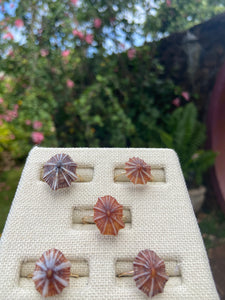 ‘Opihi Rings size 71/2